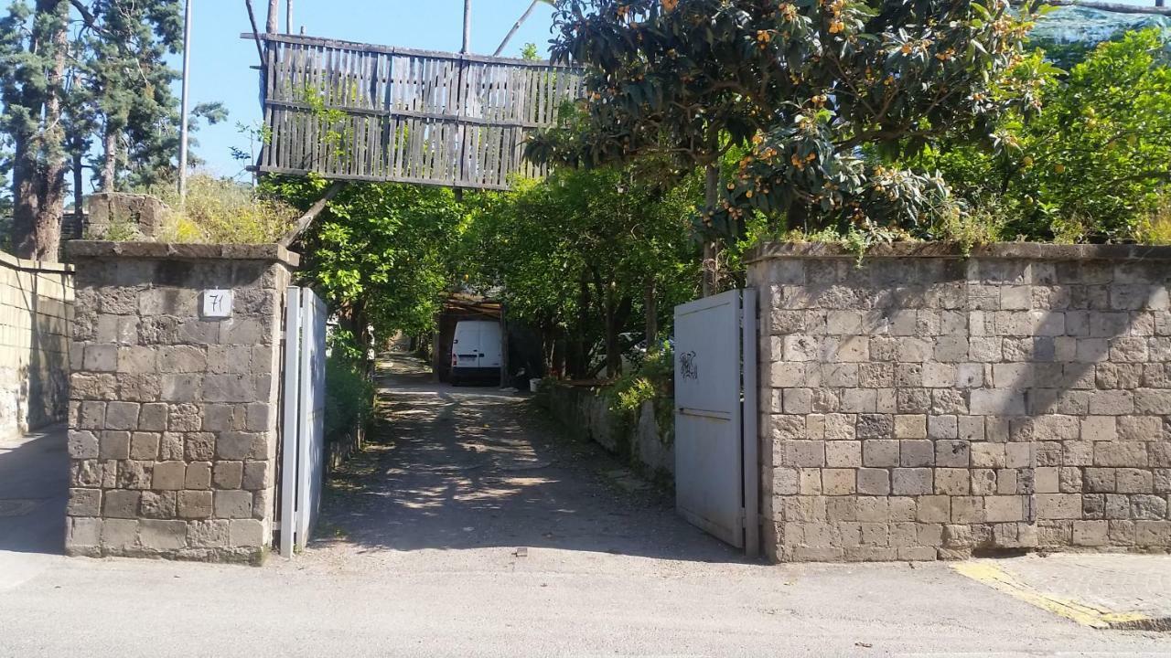 Casa Carolina B&B Сорренто Экстерьер фото