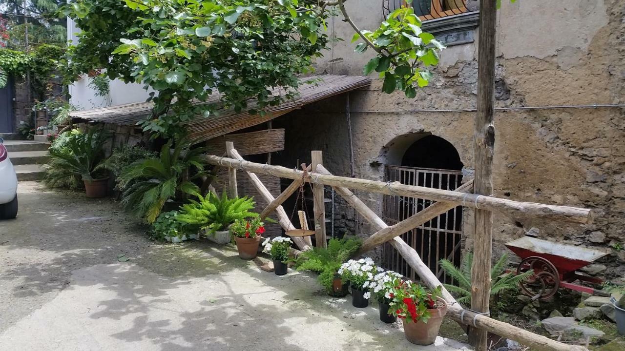 Casa Carolina B&B Сорренто Экстерьер фото